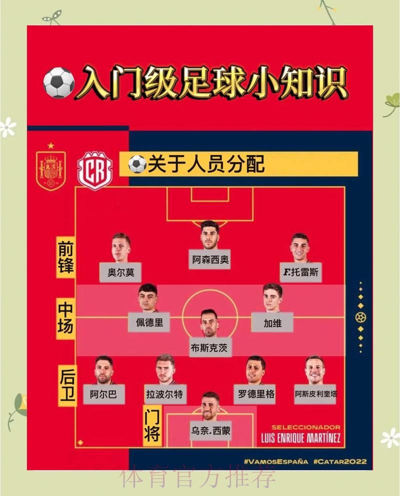 2026世界杯比利时贝林厄姆比赛解读完整指南